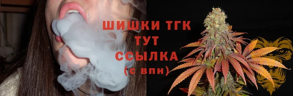 МДПВ Верея