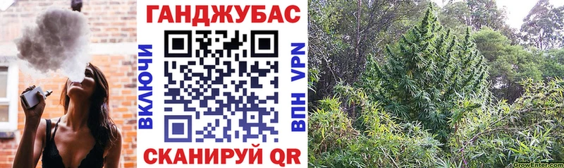 МЕГА ONION  Череповец  Шишки марихуана THC 21% 